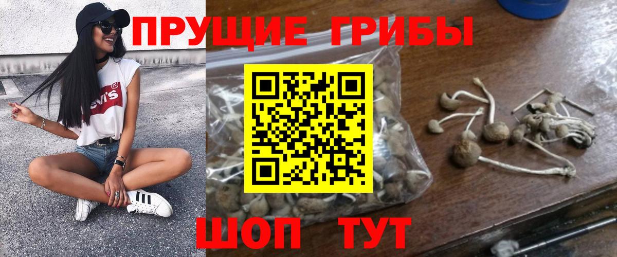 Галлюциногенные грибы GOLDEN TEACHER Трёхгорный