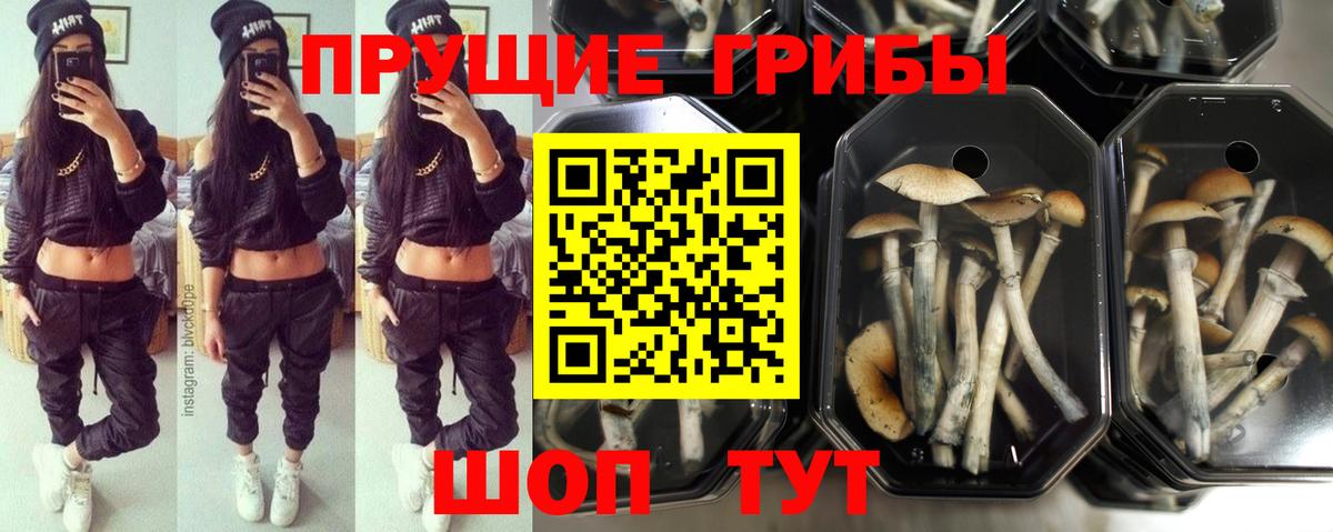 цены наркотик  Вход с VPN  Трёхгорный  Галлюциногенные грибы MAGIC MUSHROOMS  Галлюциногенные грибы MAGIC MUSHROOMS 